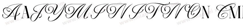 AaJYMINITNOn CmmercialUse字体转换